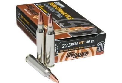 SIG .223 REMINGTON 60GRAIN HT 20ROUNDS