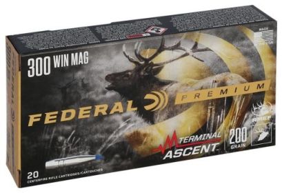 FEDERAL .300 WIN MAG  200GR TERMINAL